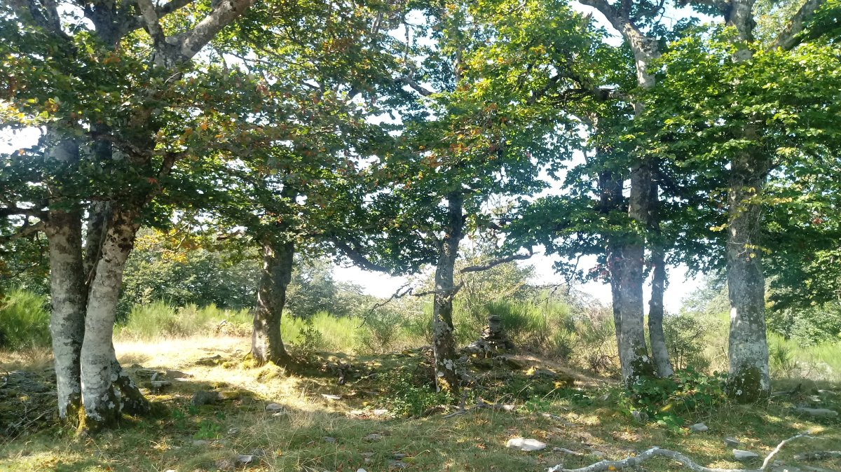 Bizkailuze (1304m) tontorra