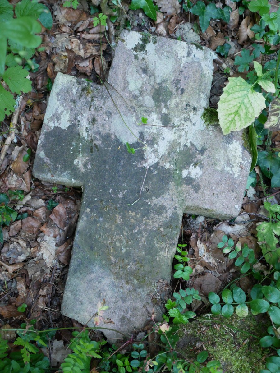 Andra Mari Zuria. galbarioko gurutzea, Jaurrieta