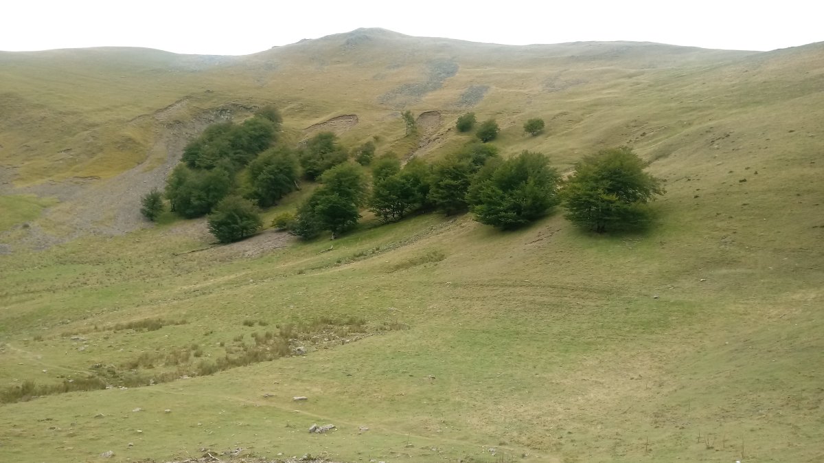 Adi (1457m) Adisorotik