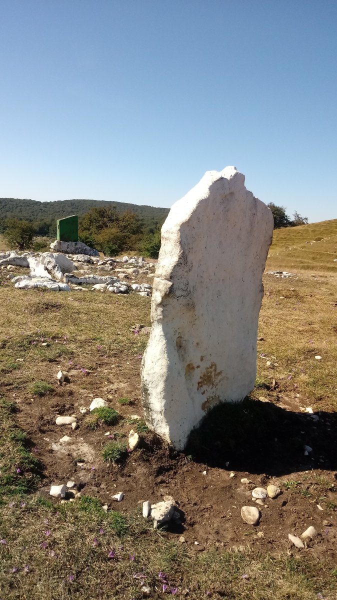 Arrizazen zutarria (2020)