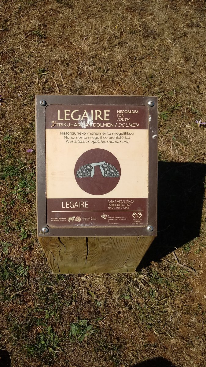 Legaire H trikuharria (2020)