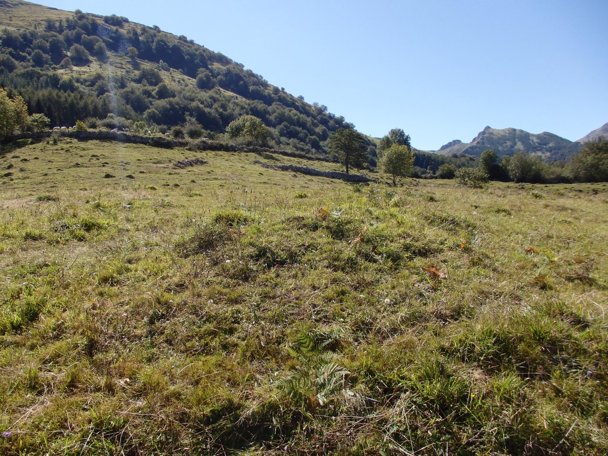 LARRONDO campo tumular