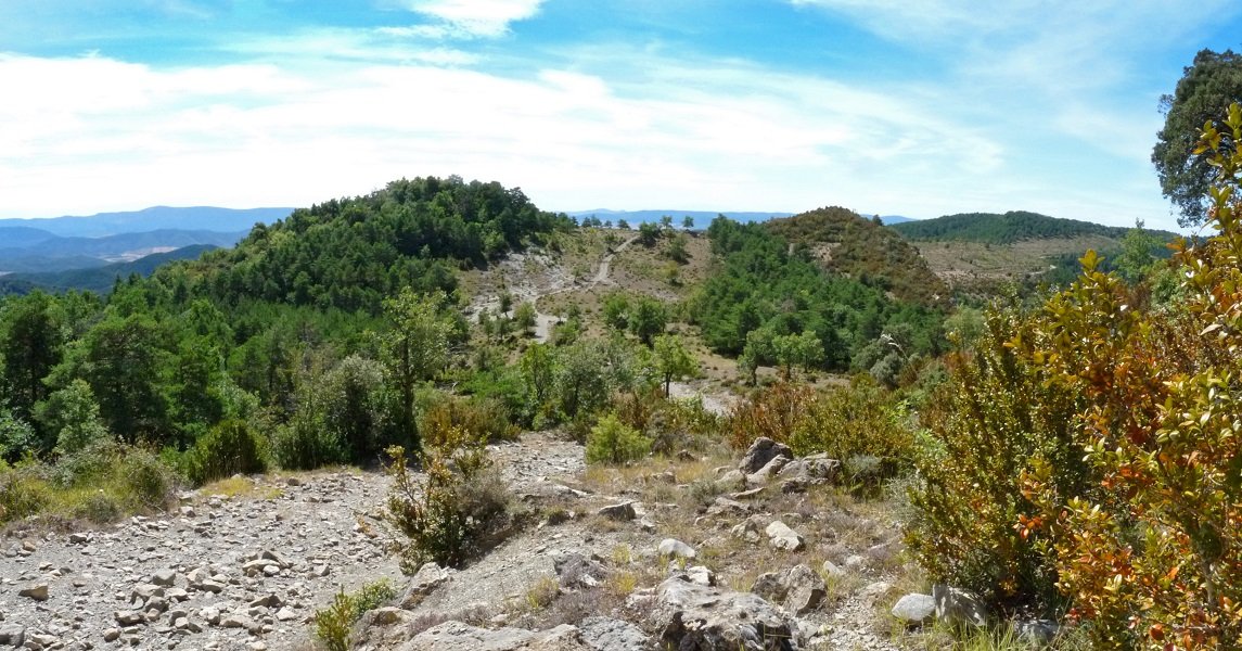 Kaztelualdeko gailur bikoitza