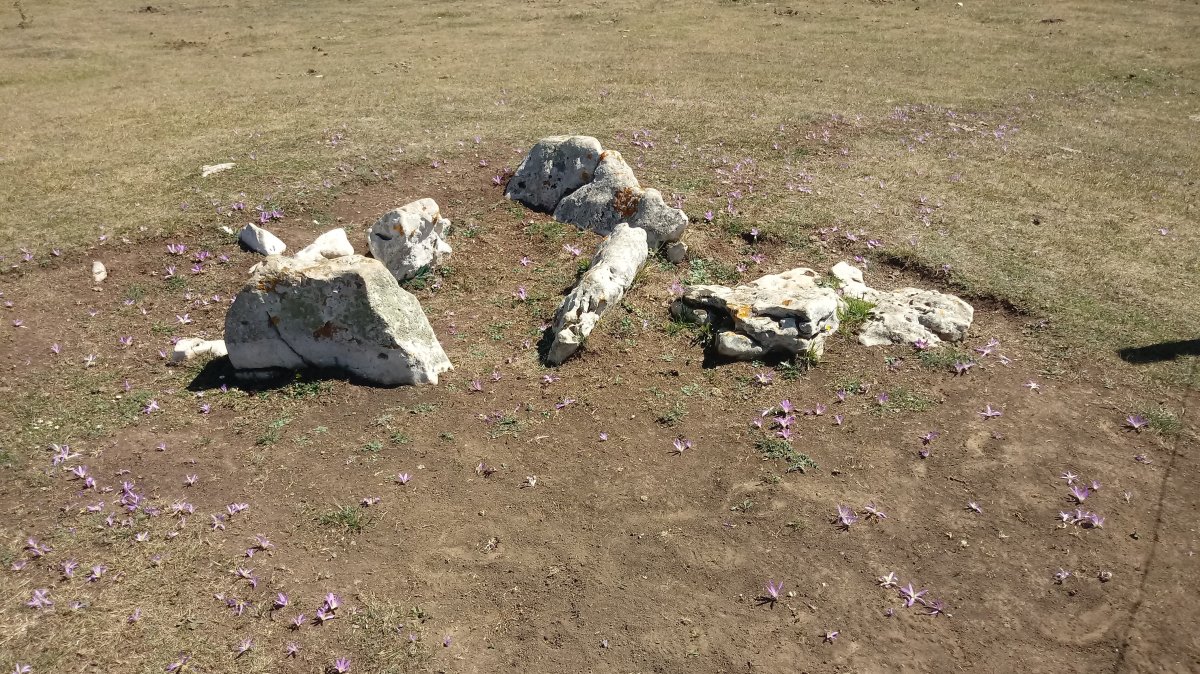 Legaire I trikuharria