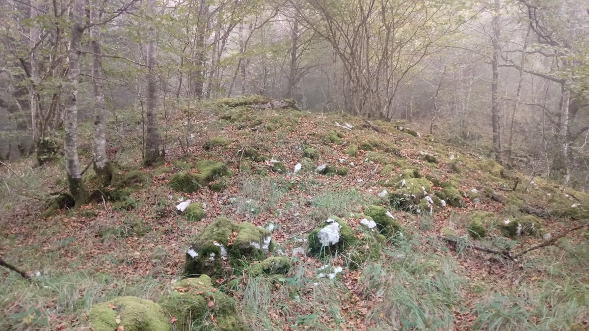 Ziñeko Gurutze trikuharria