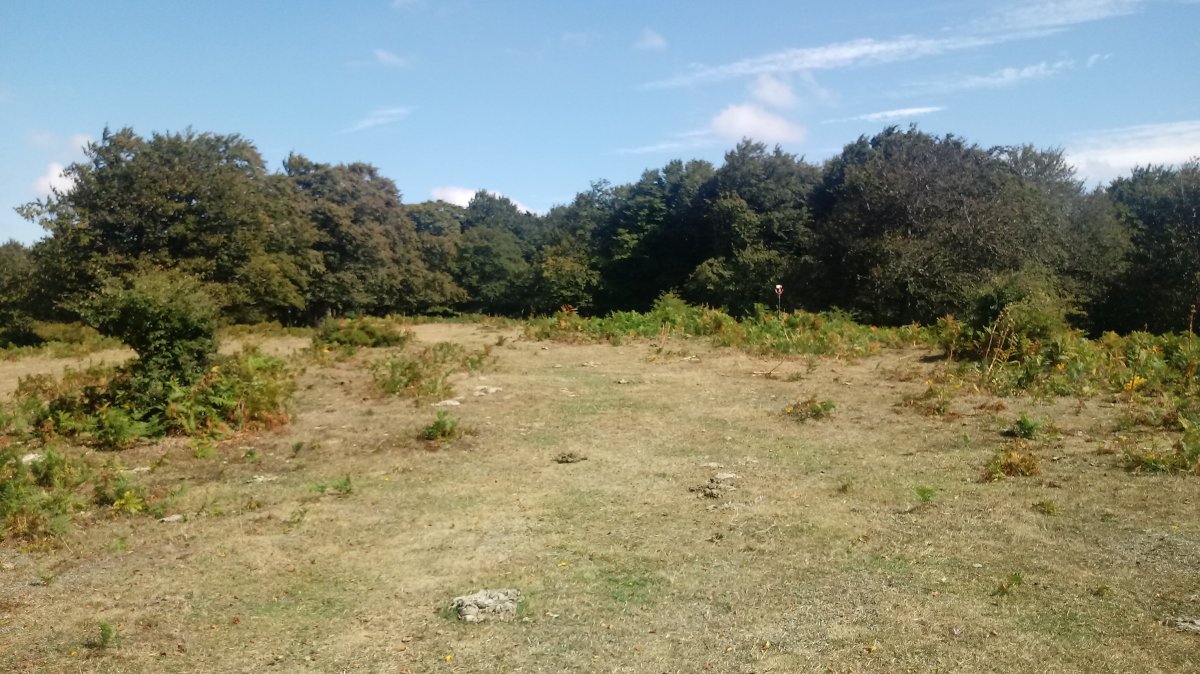 Askiolagaña (1208m) gaina