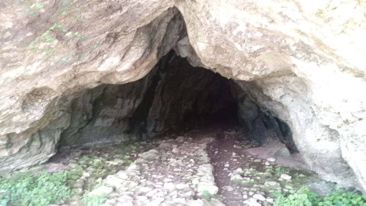 Mairulegorreta Leizea, barnea