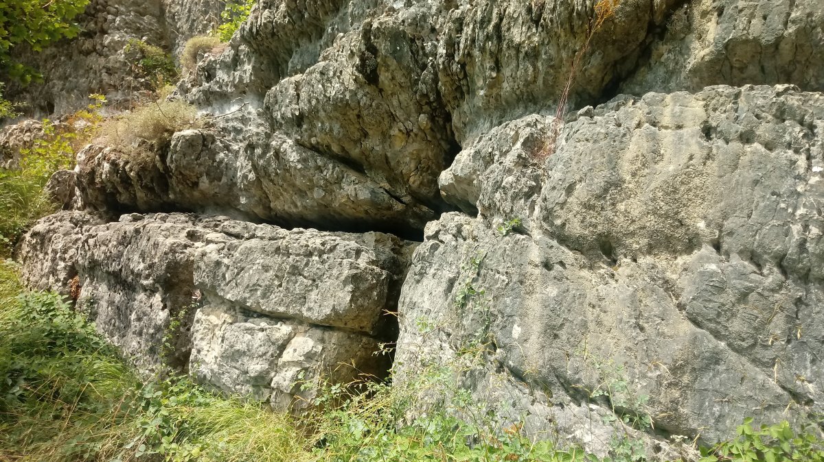 Elkorretako haitzuloa