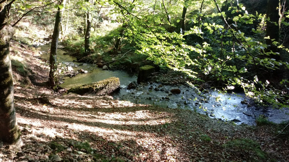 Erreka, Unaileku eta Arditurri artean