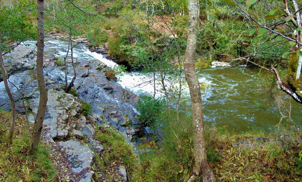 Zaldibartxo Ur Jauzia