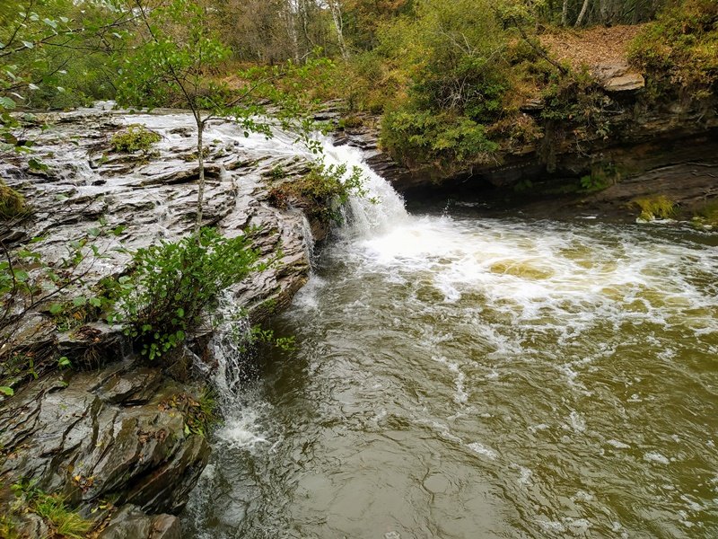 Zaldibartxo Ur Jauzia