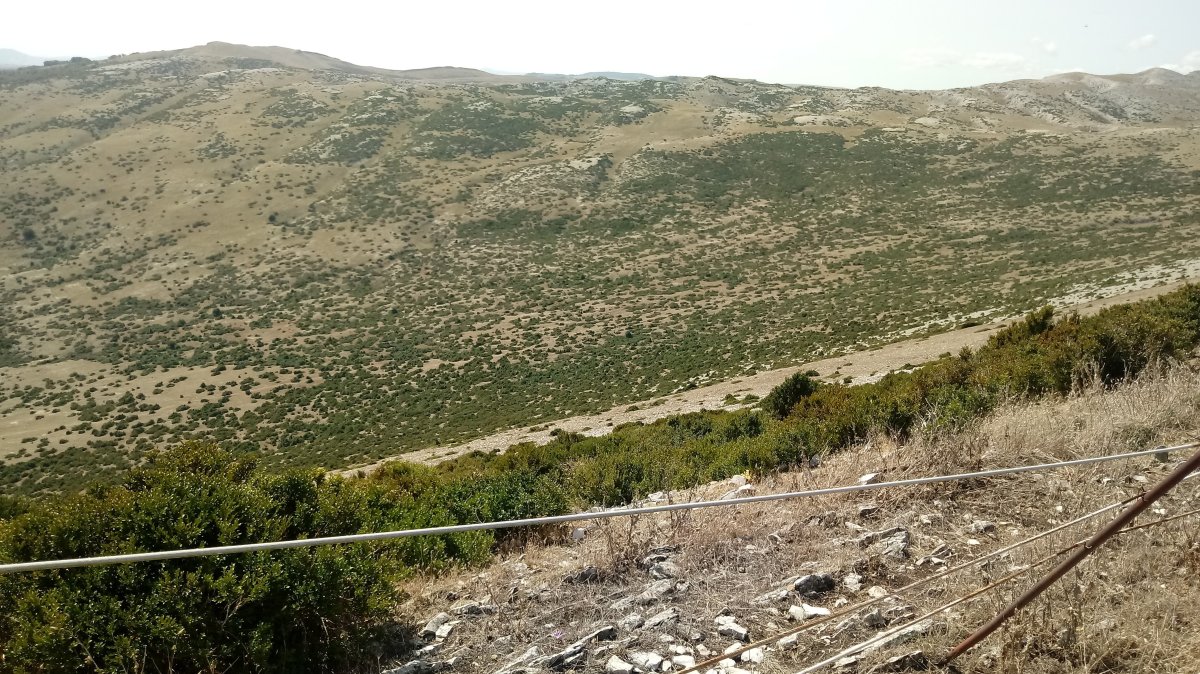 Idoitxiki (1272m) tontorretiko ikuspegia Andia alderantz