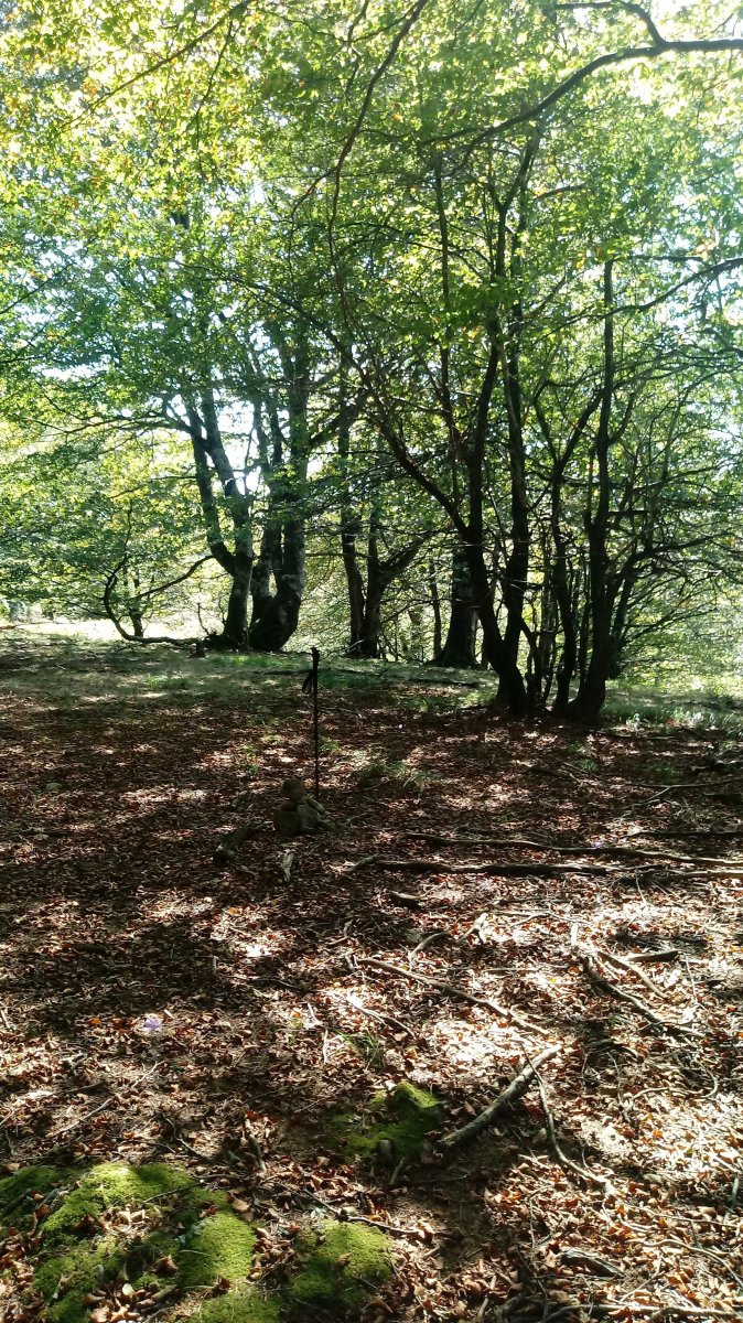 Ozpegaña (1033m) tontorra