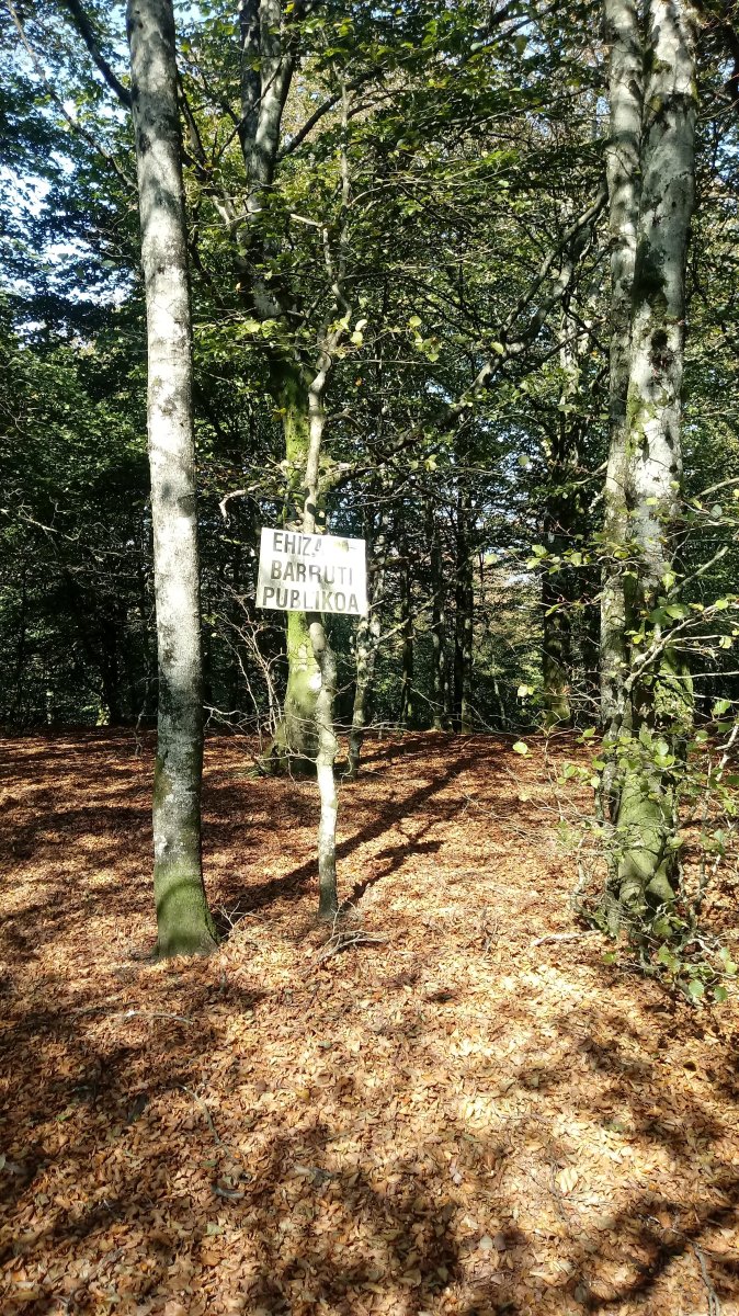 Irumugarrieta (1044m) tontorra