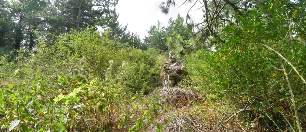 Santa Kruz, gailur itxia