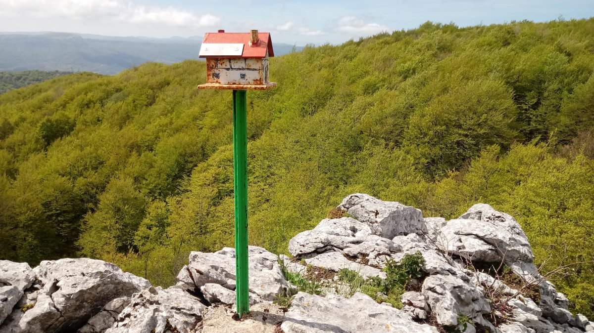 Linategieta (1206m) postontzia