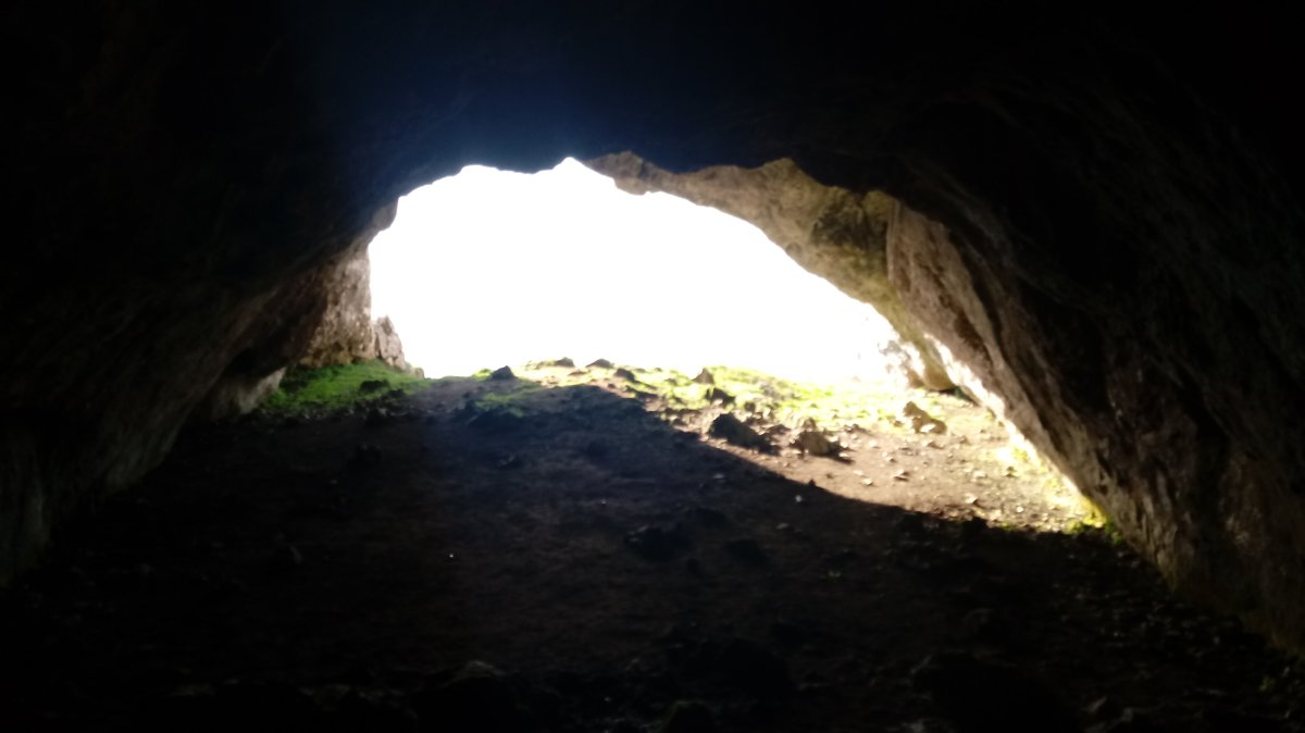 Koba haundi haitzuloa