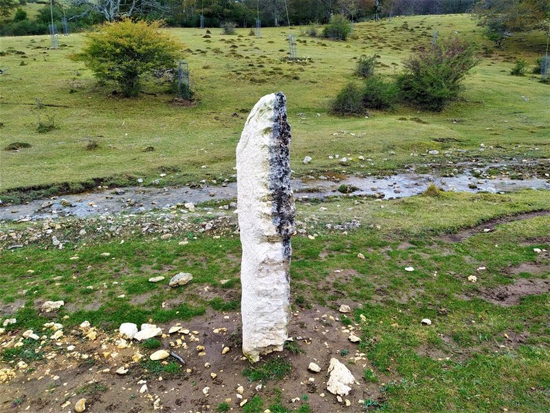 Surbe Hegoalde Menhirra