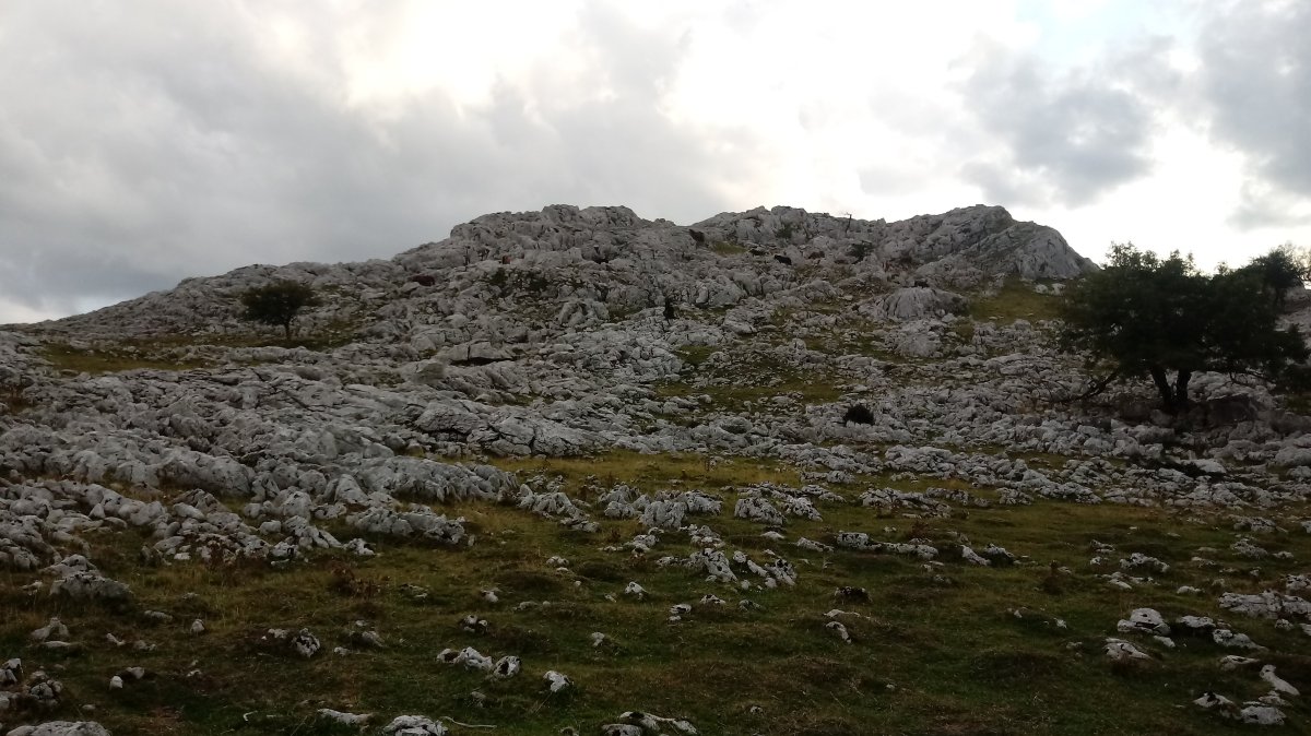 Zaraialaburu (1119m) ekialdetik