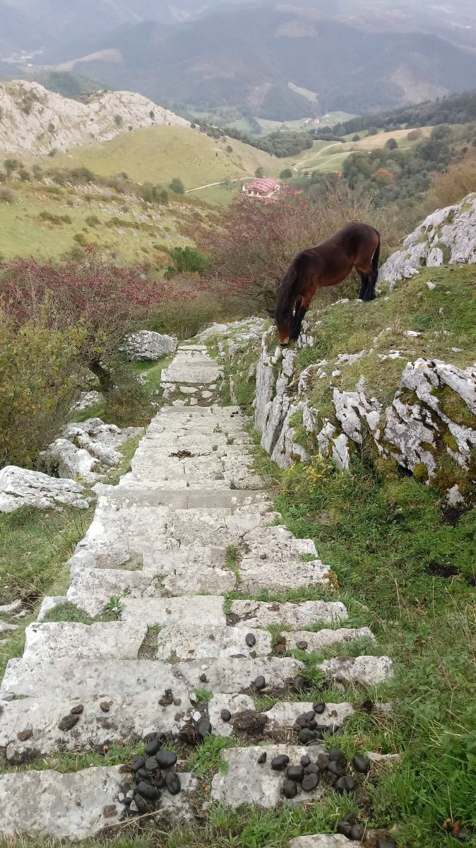 Urregarai (704m) eskailerak