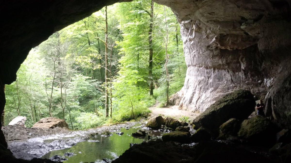 Biduze haitzuloa barnealdetik