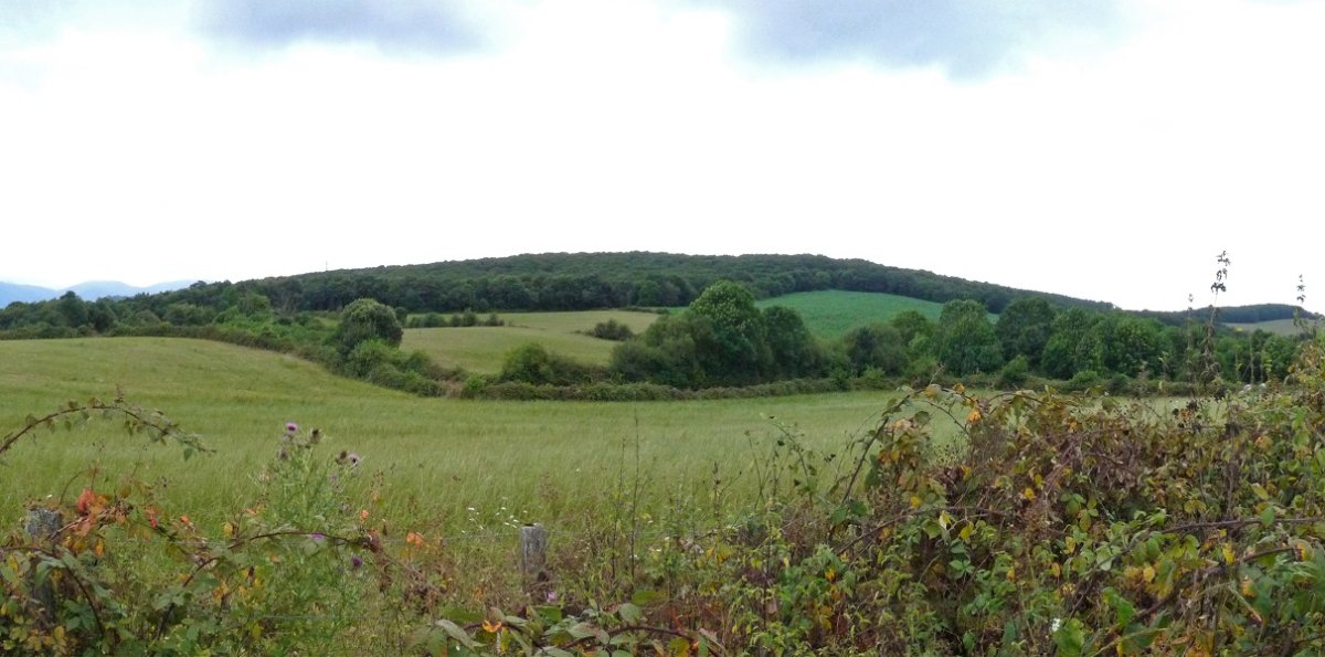 Beuntzako Gaina, Beuntzatik