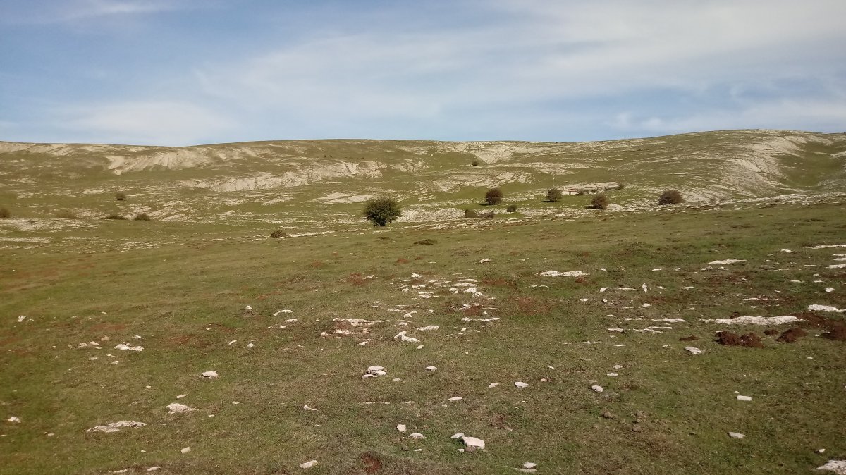 Dorroteka (1176m) hegoaldeko sakanetik ikusita