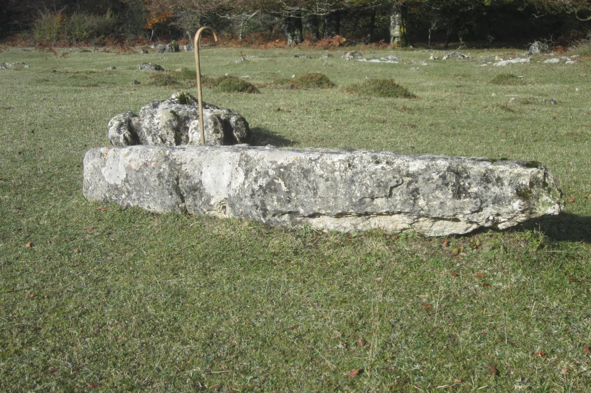 Monolito Raso de Lezana  (Octubre 2020)