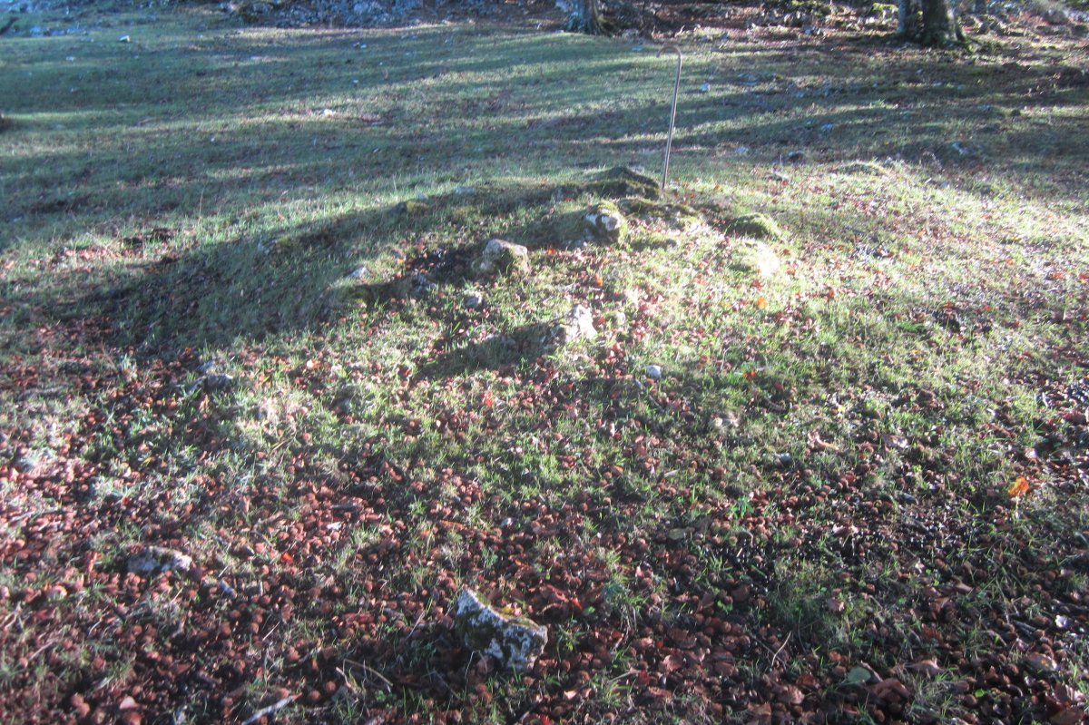 Túmulo Txumartegi IV oeste  (Octubre 2020)