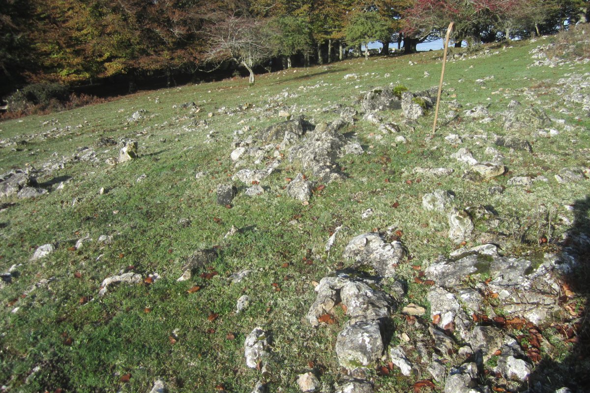 Dólmen Txumartegi III sur (Octubre 2020)