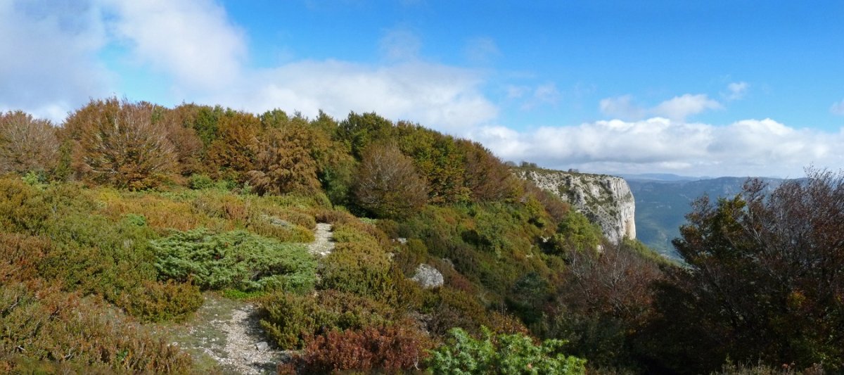 Ibiringo gailurra, Aramendiako bidetik