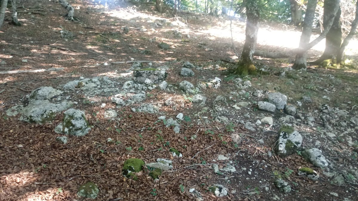 Txumartegi trikuharria (2019)