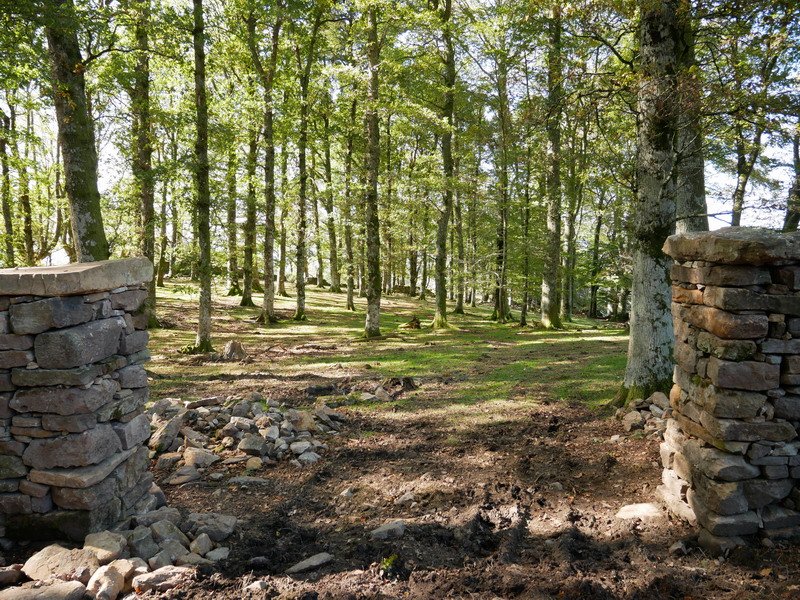 Arlamendiko mintegia