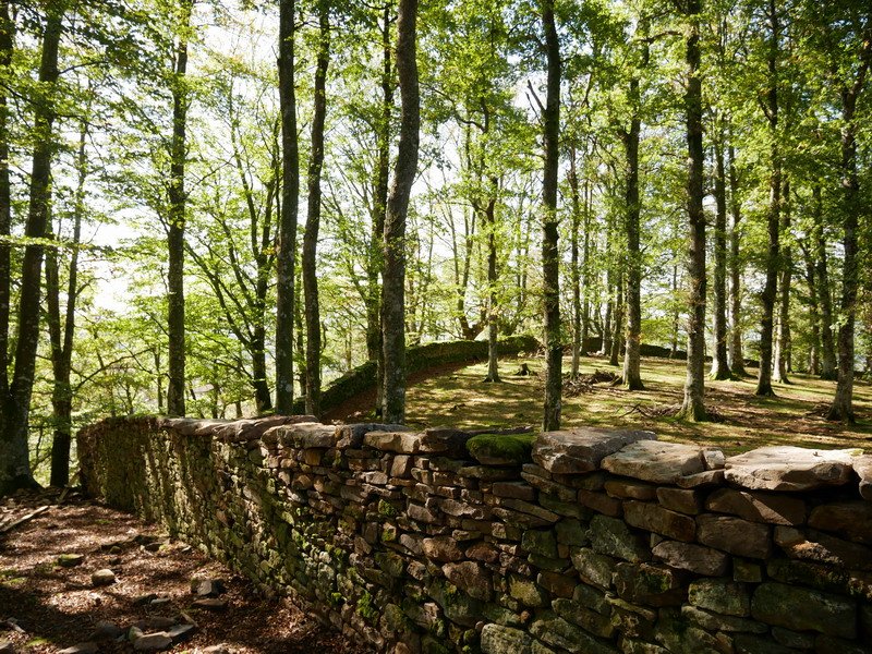 Arlamendiko mintegia