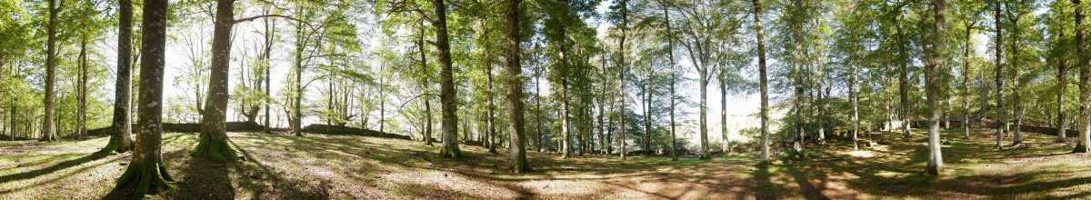 Arlamendiko mintegia