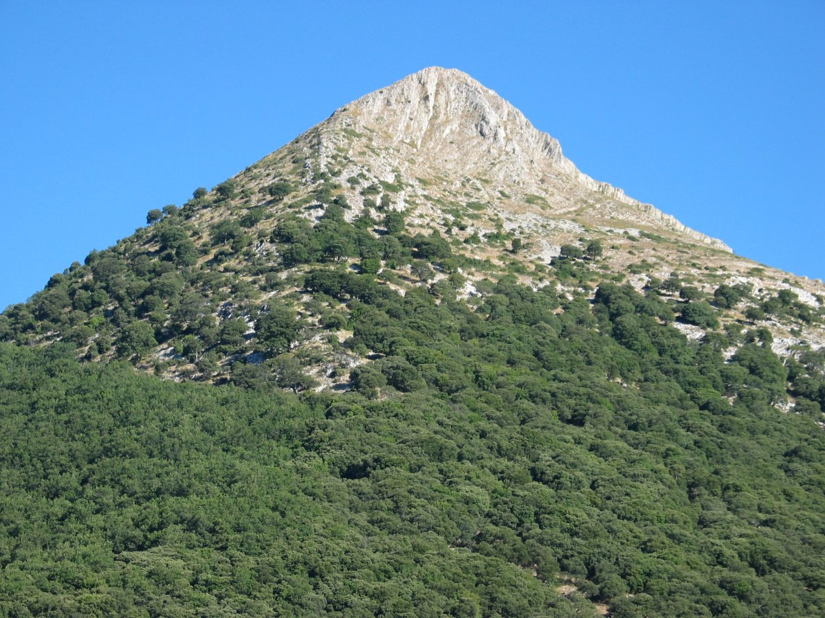 Iltzarbe aldetik ikusita itxura polita du.