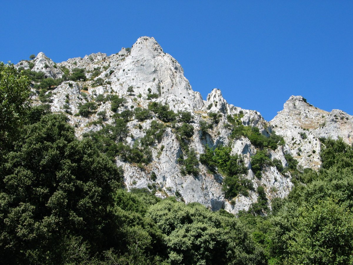 Ekialdeko haitzak mendia inguratzen duen pistatik