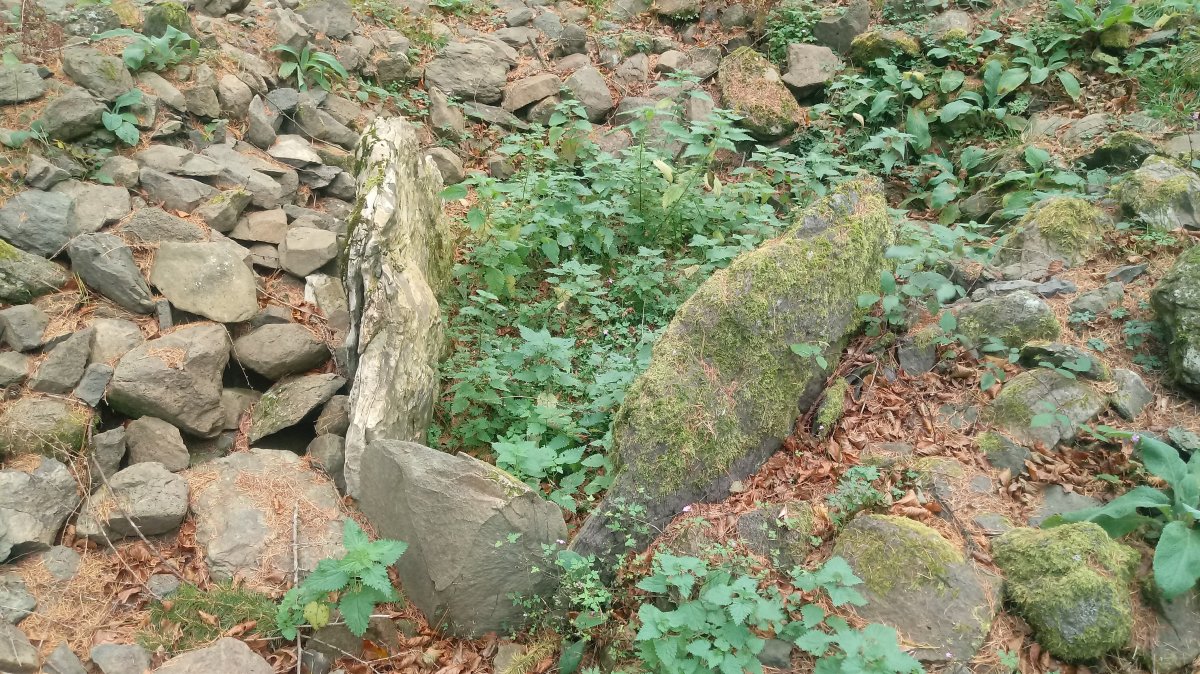 Agerreburu trikuharria