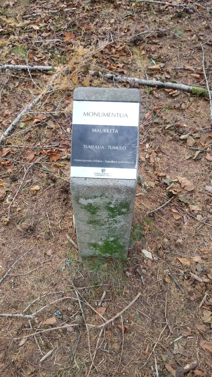 Maurketa tumuloa (2020)