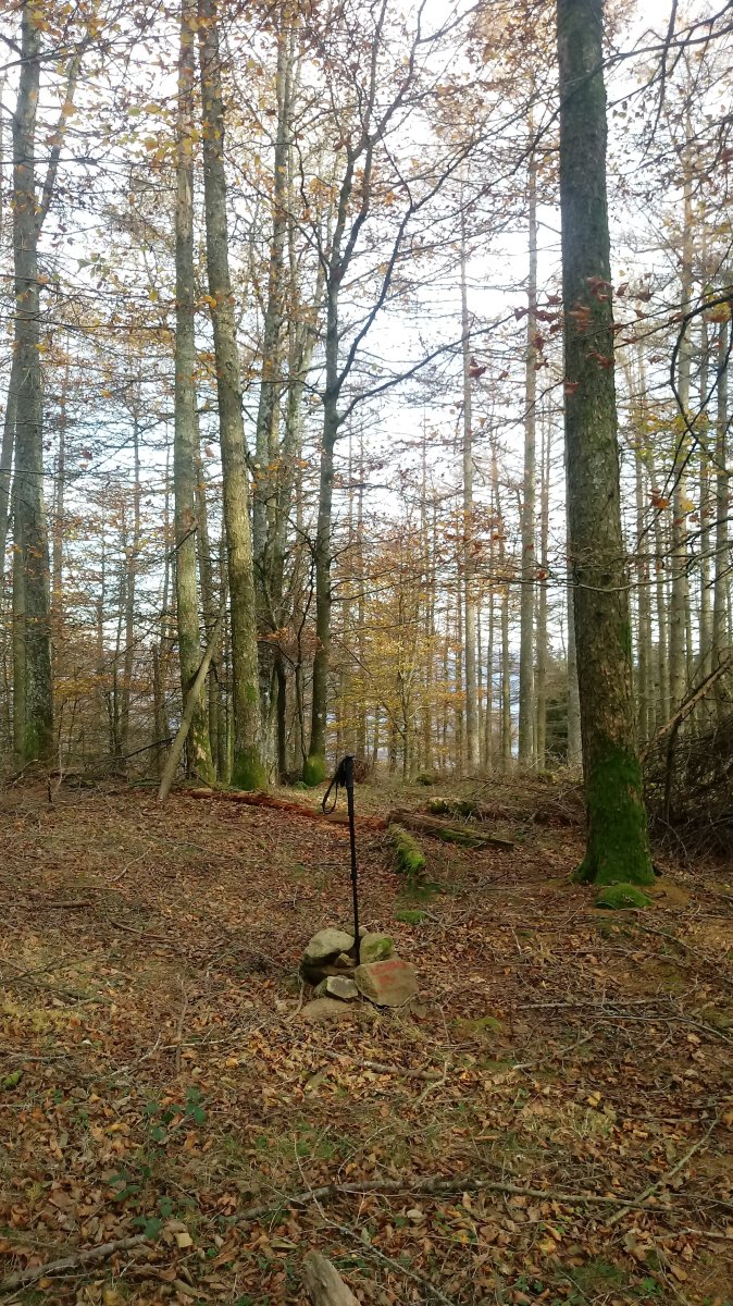 Leiopago (827m) tontorra