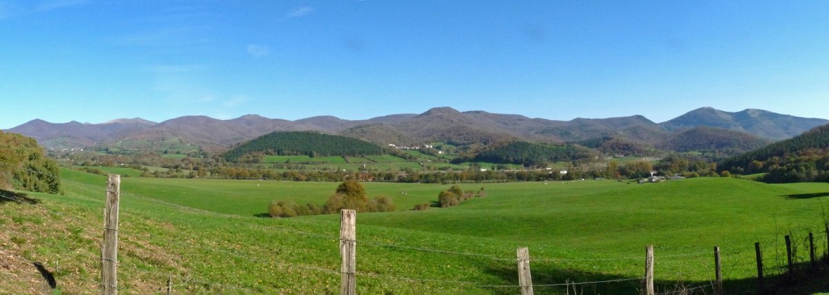 Olague inguruko paisaia