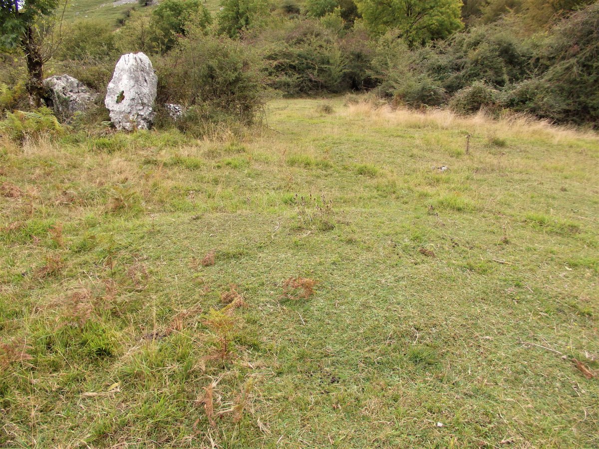 PLAZEGI II campo tumular