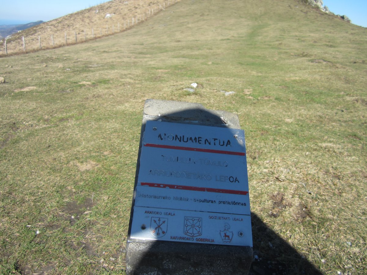 Túmulo Arriurdiñetako Lepoa  (Marzo 2014)