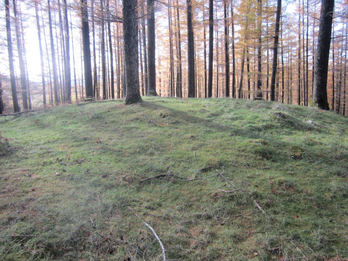 Túmulo Biribilleta  (Noviembre 2016)