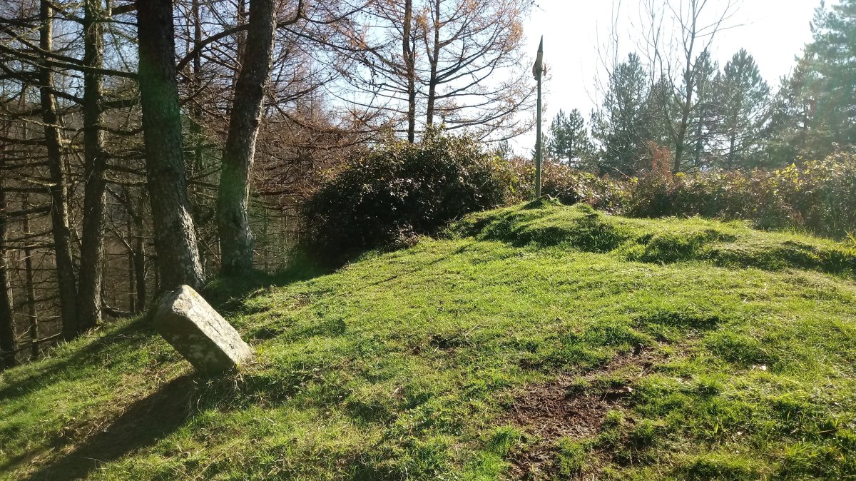 Korosomuino (781m) tontorra