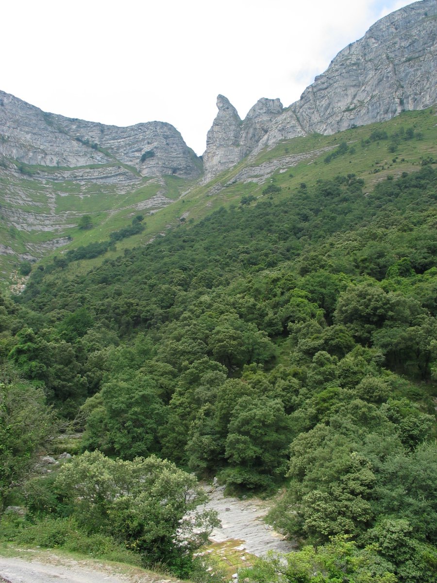 Tertanga aldeko igoerabidearen ikuspegia