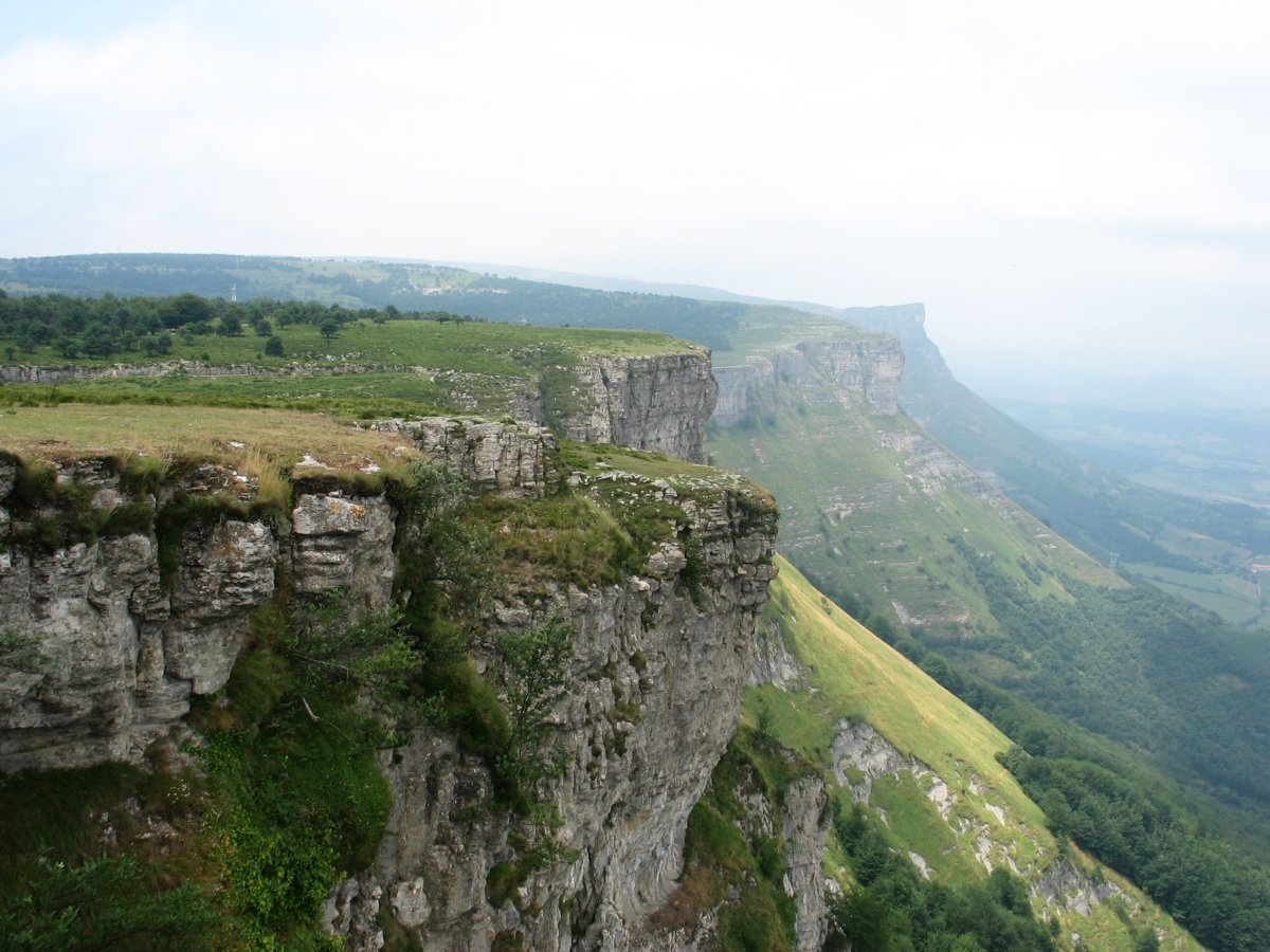 Mendebaldeko gandorra