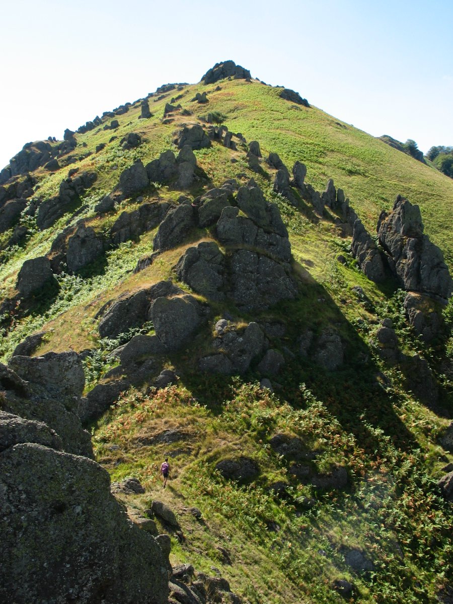 Hartxahaleko gandorra: monolito ugari