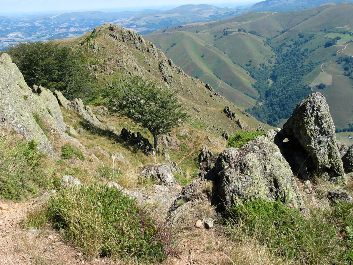Tontorrerako azken txanpa Iparraldetik