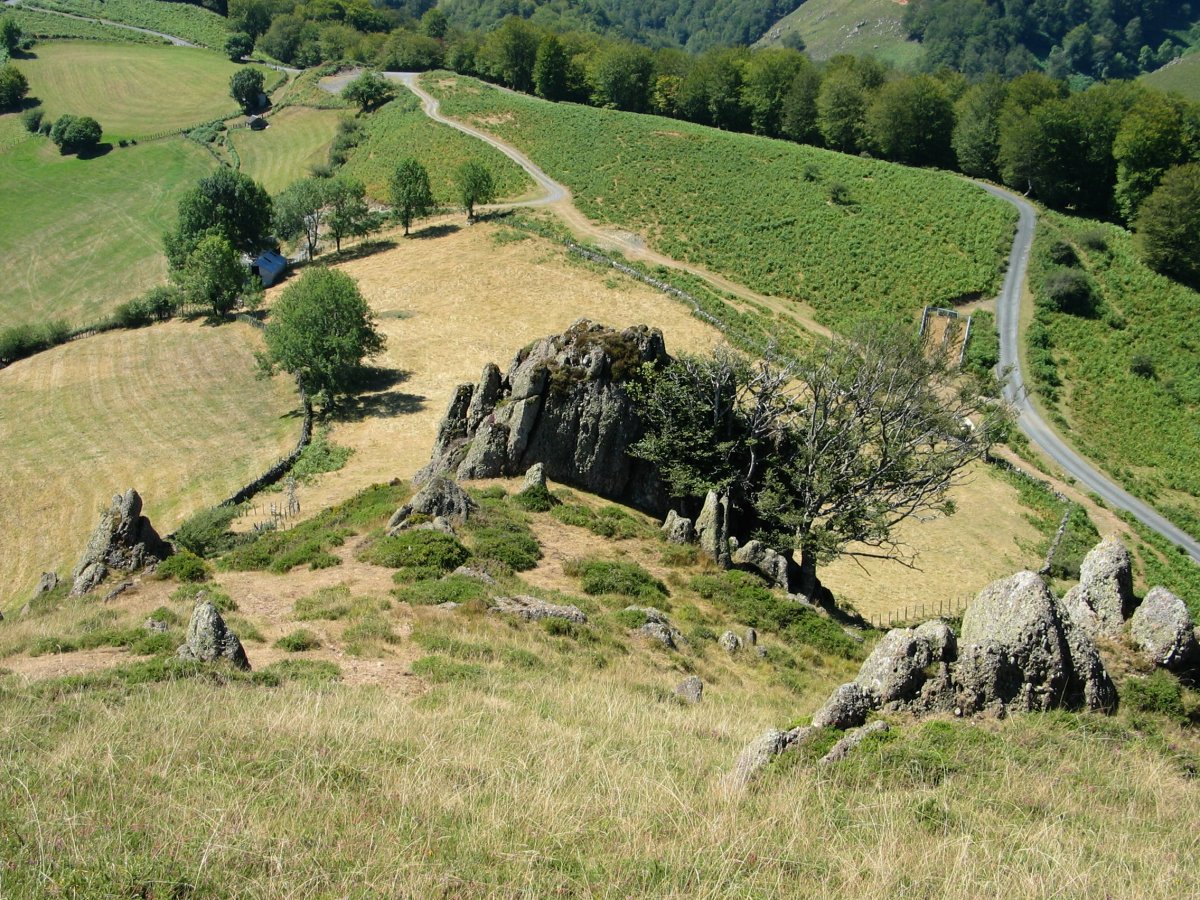 Ireiko lepoa Iramendi aldetik